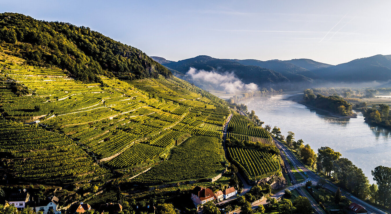 Vinaria - Österreichs Zeitschrift für Weinkultur: Die besten Grüner  Veltliner Premium 2021