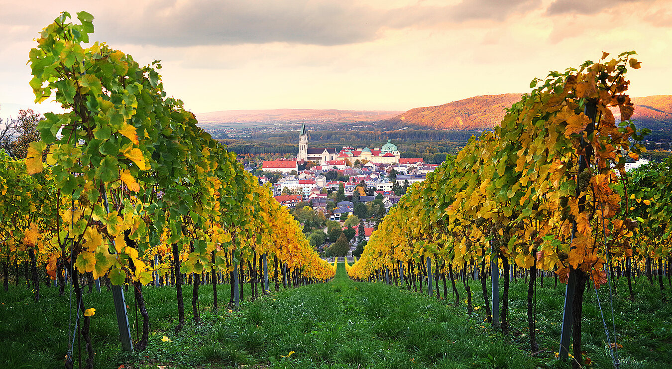 Vinaria Österreichs Zeitschrift für Weinkultur Weinbauregion Wagram