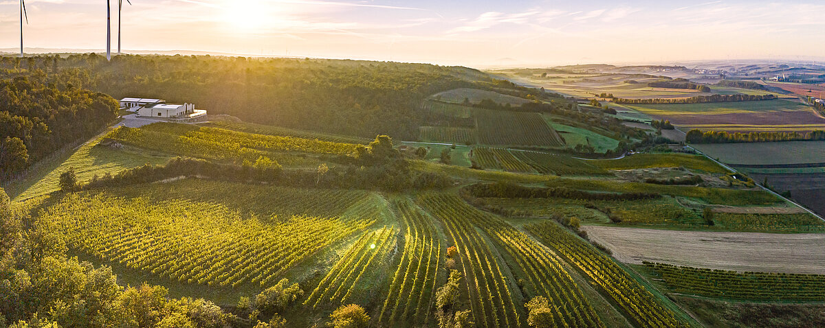 Vinaria Österreichs Zeitschrift für Weinkultur Die besten Weine